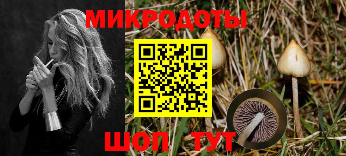 Петропавловск-Камчатский  Псилоцибиновые грибы мухоморы  цены   Вход с VPN  Галлюциногенные грибы Psilocybe 