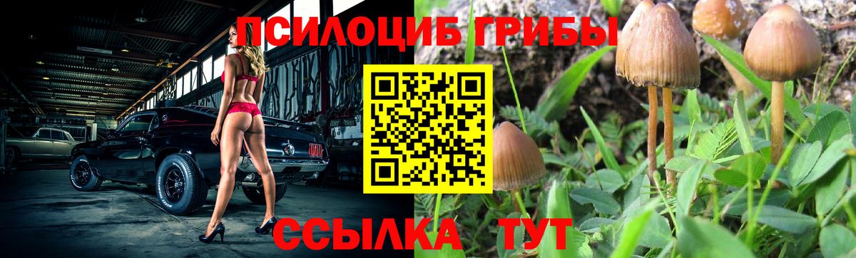 Галлюциногенные грибы Magic Shrooms Петропавловск-Камчатский